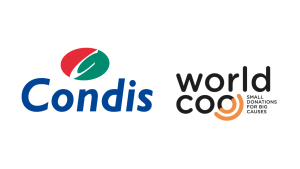 Logos empreses web